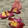 1,5 órás kényeztető thai aromaolajos masszázs 2 fő részére - Image 4