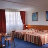 5 nap 4 éj korlátlan wellness Prágában -Top Hotel Praha **** - Image 6