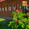hello varázs Dunakavics rózsák logo