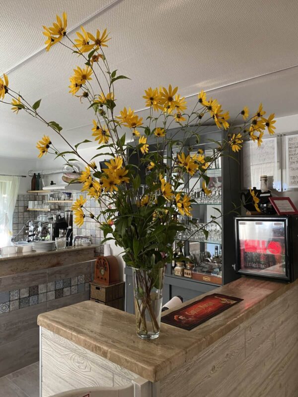 natura-panzio-egerszalok-wellness-hello-kedvezmeny-virag