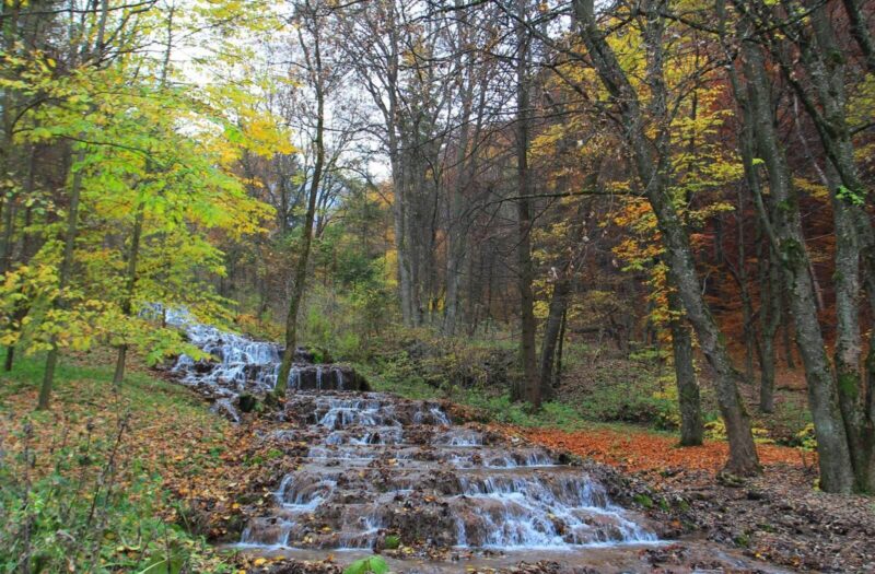 natura-panzio-egerszalok-wellness-hello-kedvezmeny-vizeses